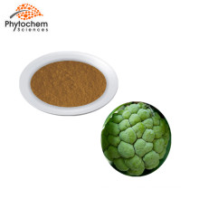 Health & supplement dried annona muricata graviola leaf extract